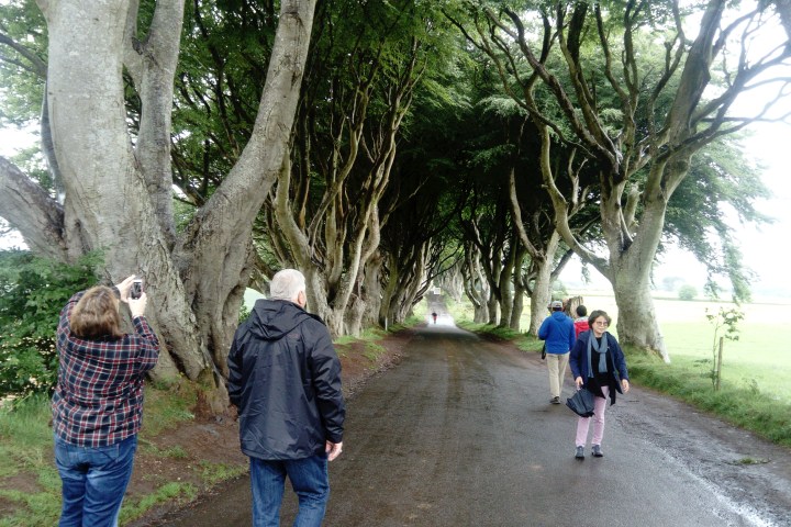 The dark hedges with people walking through them